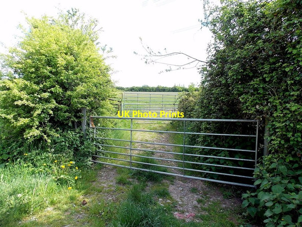 Photo 6"x4" Three gates at a field entrance, Caldicot Caldicot\/Cil-y-coed c2013