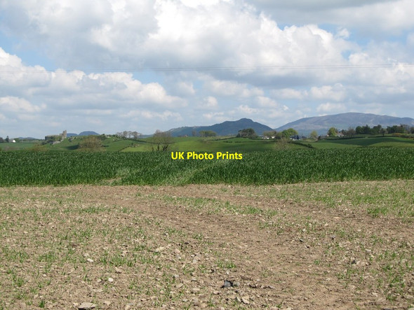 Photo 6"x4" View north from Knockagh across farmland Hackballs Cross c2013
