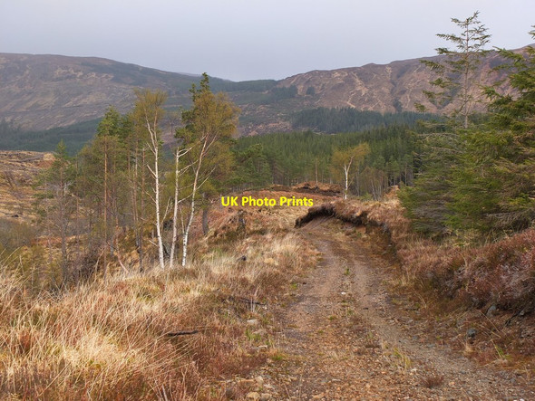 Photo 6"x4" Track in Coire a' Bh\u00c3\u00a0inidh (2) Craig\/NH0349 c2013