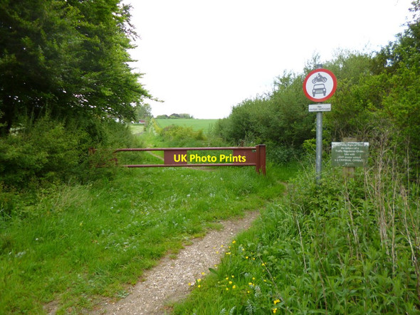 Photo 6"x4" Rockbourne, barrier East Martin c2013