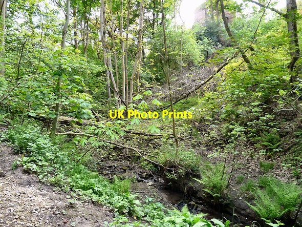 Photo 6"x4" Gower Hey Wood Hyde\/SJ9494 c2013 P1