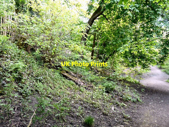 Photo 6"x4" Gower Hey Bank Hyde\/SJ9494 c2013