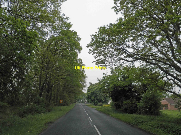 Photo 6"x4" Holme Lane Holme\/SE9206 c2013