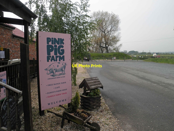 Photo 6"x4" The Pink Pig Farm at Holme Bottesford\/SE8907 c2013