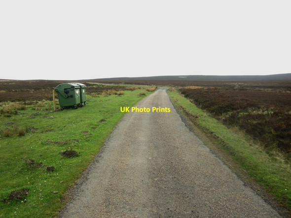 Photo 6"x4" Isolated bins on Quarryhouse Moor Hepburn c2013