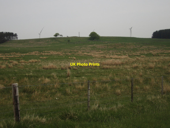 Photo 6"x4" Grassland on Hangwell Law Hangwell Law c2013