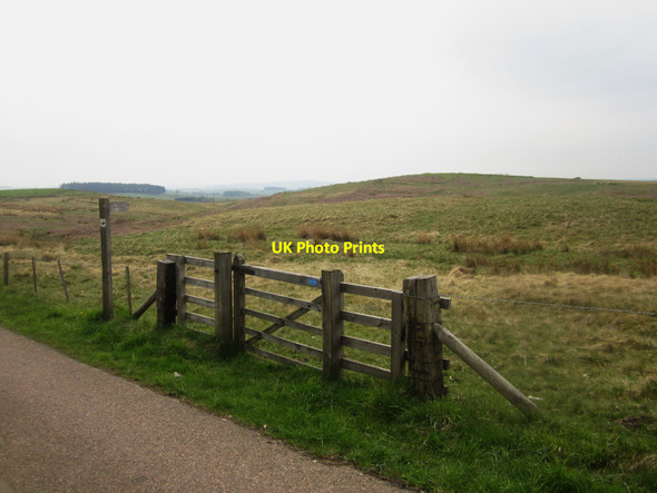 Photo 6"x4" Gateway to open access land near Haughterslaw Cragcleugh Burn c2013