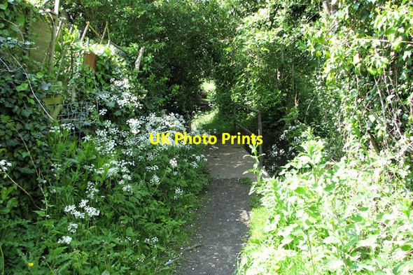 Photo 6"x4" Footbridge over Hundred Drain, Barnby Barnby c2013