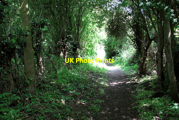 Photo 6"x4" Shaded path from Wade Hall to Barnby Barnby c2013
