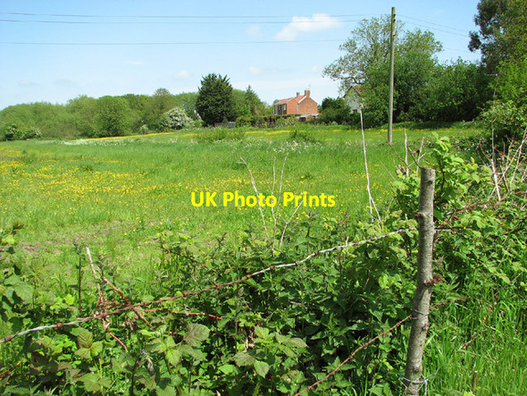 Photo 6"x4" Pasture beside Hundred Drain, Barnby Barnby c2013