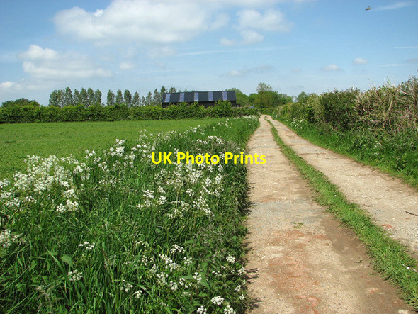 Photo 6"x4" Cow parsley beside track to Wade Hall, Barnby Barnby c2013