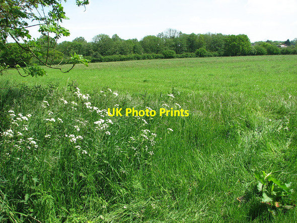 Photo 6"x4" Fields by Wade Hall, Barnby Barnby c2013