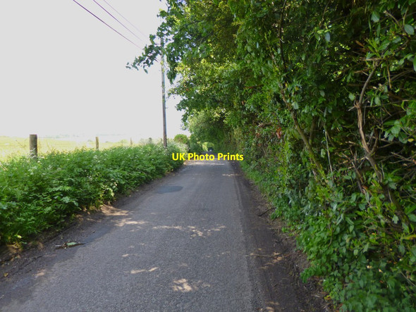 Photo 6"x4" Rockbourne Lane Rockbourne c2013