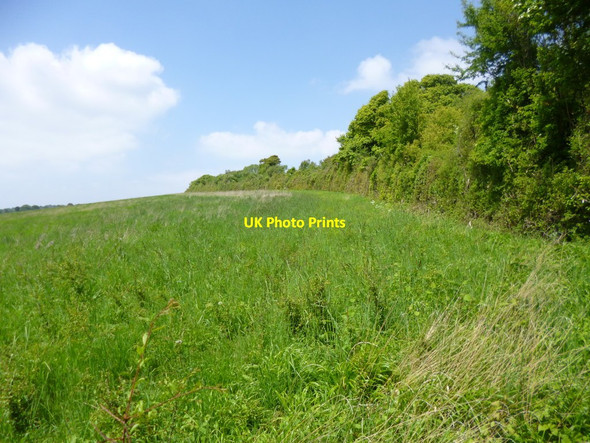 Photo 6"x4" Rockbourne, meadow Rockbourne c2013