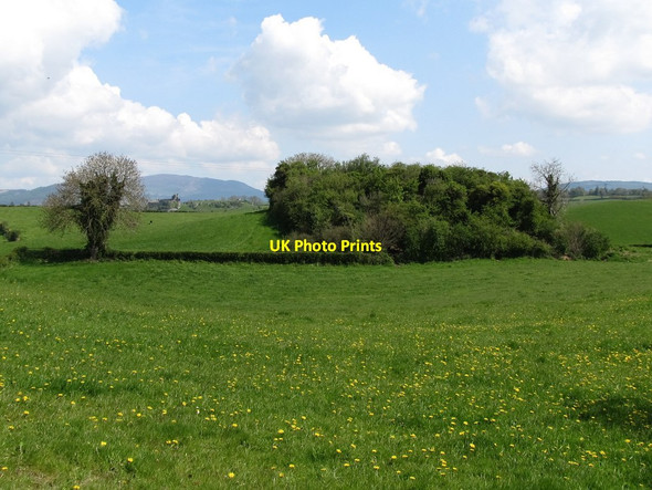 Photo 6"x4" A promontory fort at Slieve Hackballs Cross c2013