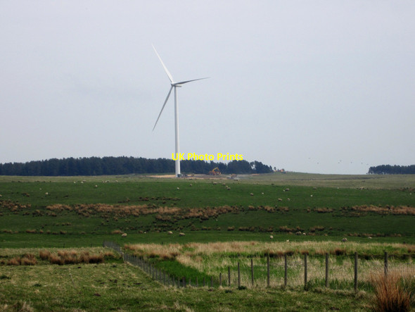 Photo 6"x4" Grassland east of Haughterslaw North Charlton c2013