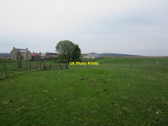 Photo 6"x4" Looking along the bridleway back to Haughterslaw North Charlton c2013