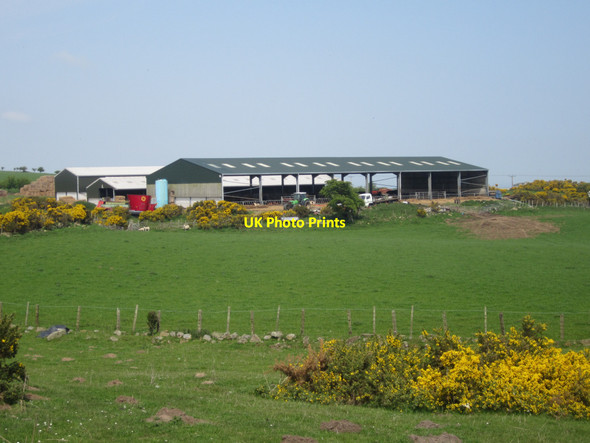 Photo 6"x4" New farm buildings at Rayheugh Warenford c2013
