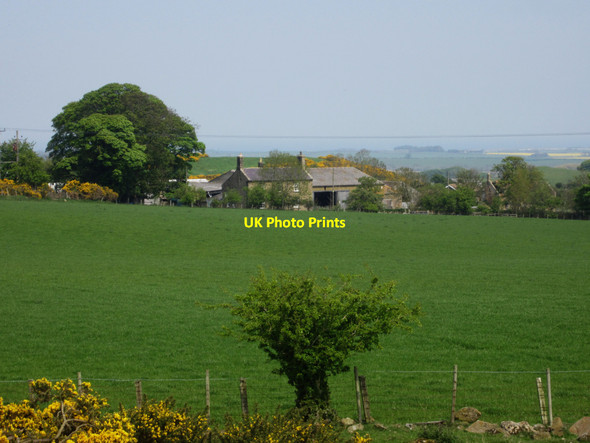 Photo 6"x4" Looking across grassland to Rayheugh Warenford c2013