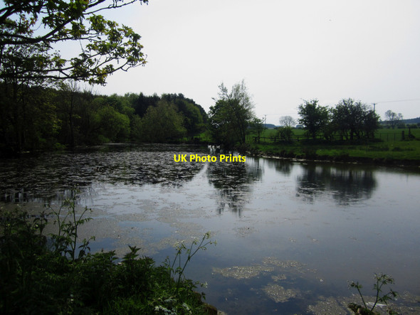 Photo 6"x4" Large pond at Rayheugh Warenford c2013