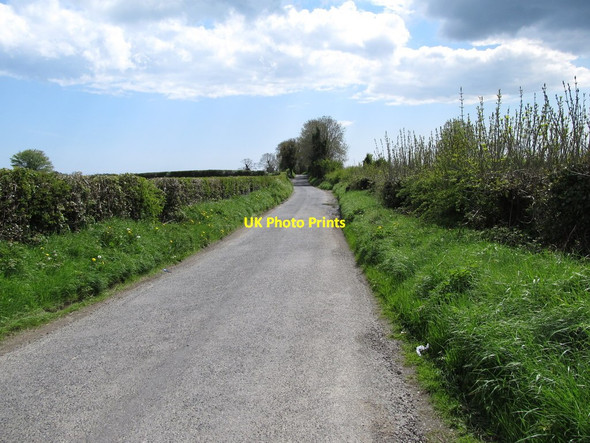 Photo 6"x4" View south along the L7105 Forkhill c2013