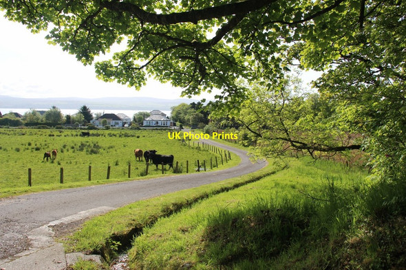 Photo 6"x4" Farm road from Toward Taynuilt Toward c2013