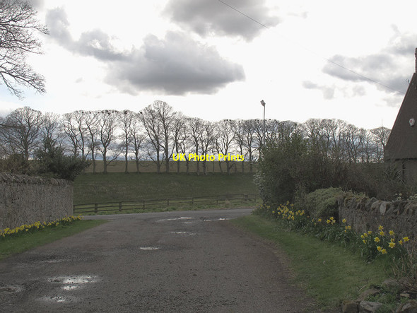 Photo 6"x4" Church Drive, Ancroft Ancroft c2013