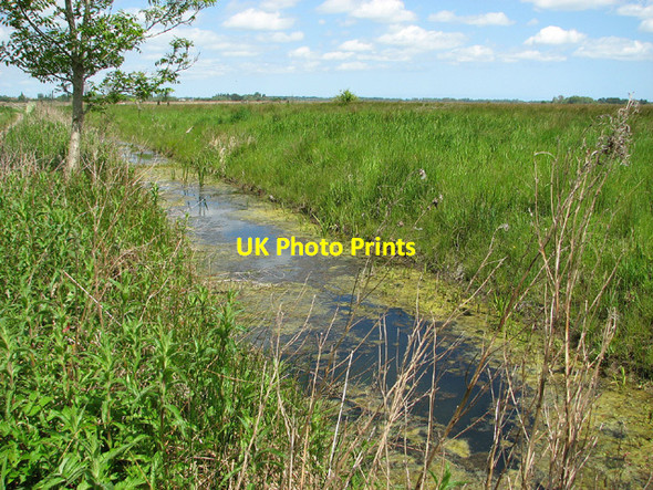 Photo 6"x4" Drainage ditch in Share Marsh, Carlton Colville Carlton Colville c2013