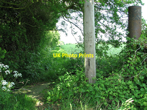 Photo 6"x4" Footpath to Barnby Barnby c2013