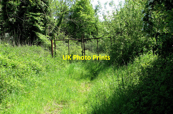 Photo 6"x4" Gated track to Sandy Hill, Barnby Barnby c2013