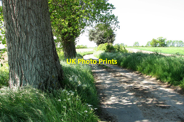 Photo 6"x4" Lily Lane, Aldeby Aldeby c2013