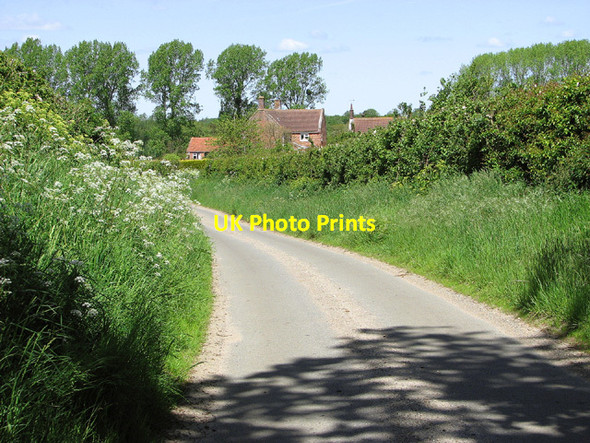 Photo 6"x4" View towards Money's Farm, Aldeby Aldeby c2013