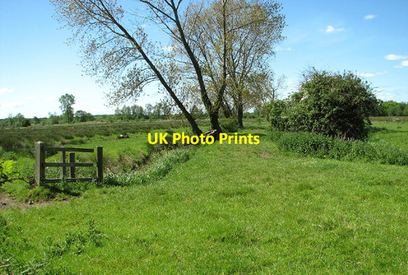 Photo 6"x4" Path to Aldeby Hall Aldeby c2013