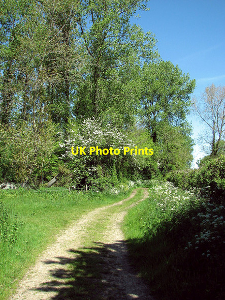Photo 6"x4" Track to St Mary's Road, Aldeby Aldeby c2013