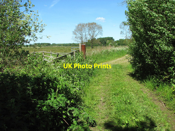 Photo 6"x4" Path along the edge of the marshes at Aldeby Aldeby c2013