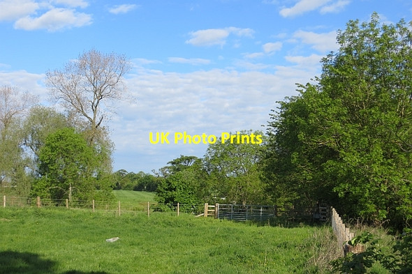 Photo 6"x4" Field, Pardovan Old Philpstoun c2013