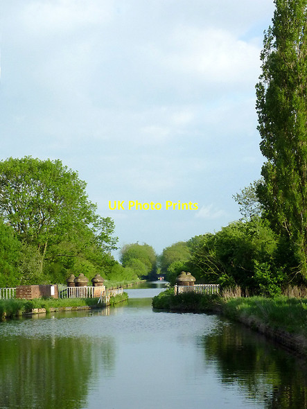 Photo 6"x4" Shropshire Union Canal near Stretton, Staffordshire Horsebrook\/SJ8810 c2013