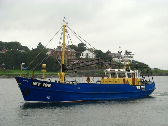 Photo 6"x4" The 'Rival' approaching Bangor harbour Bangor\/J5081 c2008