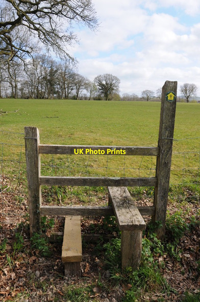 Photo 6"x4" Footpath to Myddfai Myrtle Hill\/SN7630 c2013