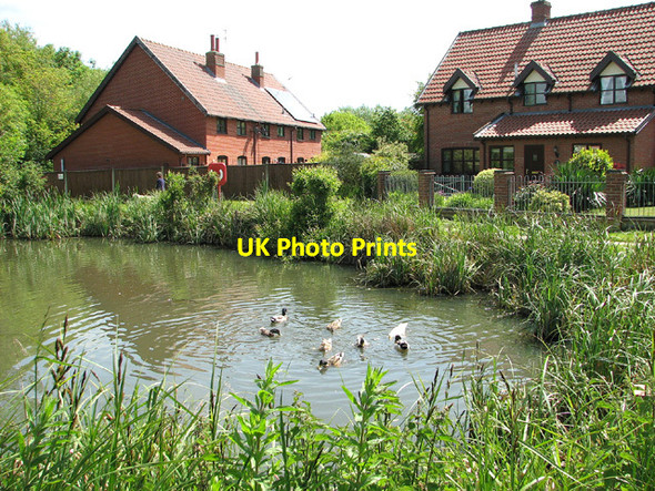 Photo 6"x4" Ducks in the village pond, Toft Monks Toft Monks c2013