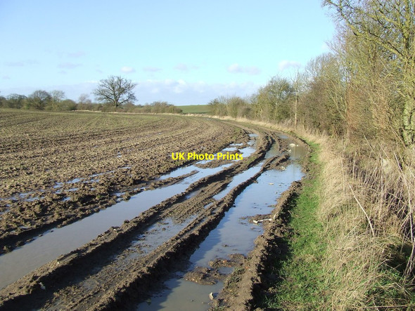 Photo 6"x4" Muddy Track Horham c2013
