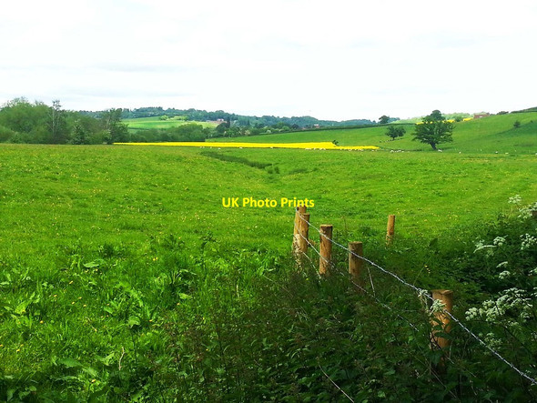 Photo 6"x4" A field at Stanford Bridge, Worcs Stanford Bridge c2013