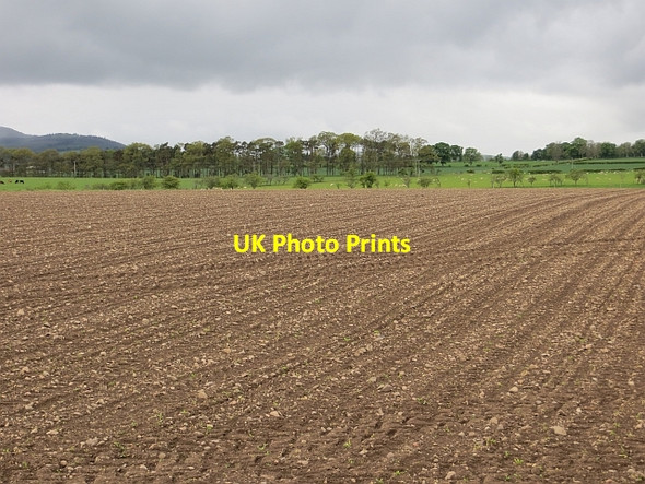 Photo 6"x4" Arable land, Bolton Bolton\/NU1013 c2013