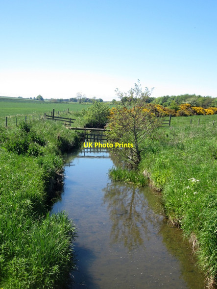 Photo 6"x4" Looking upstream along the Allerdeanmill Burn Ancroft c2013