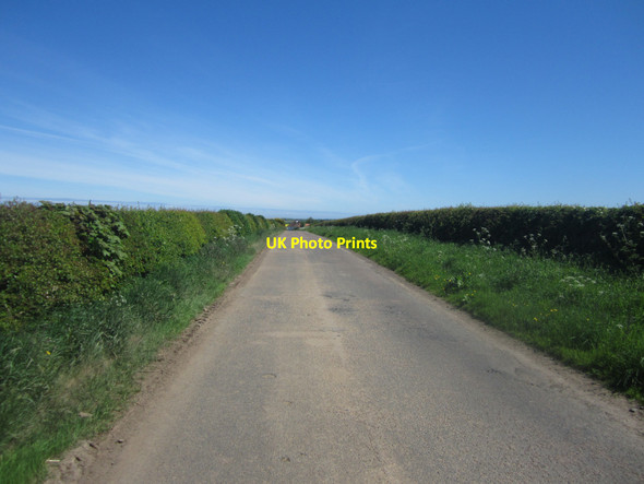 Photo 6"x4" Looking along the country road west of East Ancroft Ancroft c2013