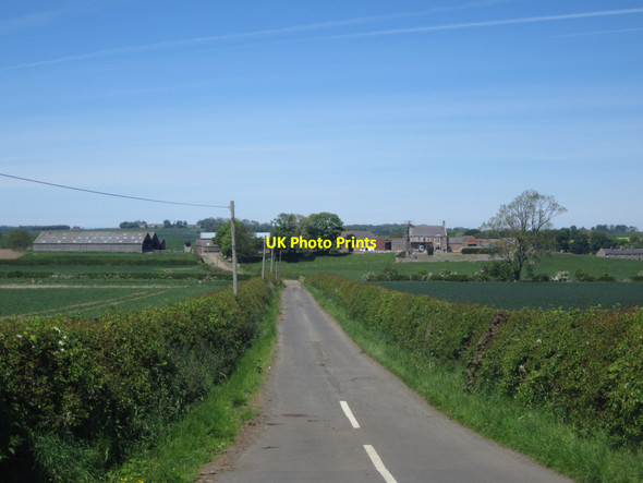 Photo 6"x4" Country road to East Ancroft Ancroft c2013