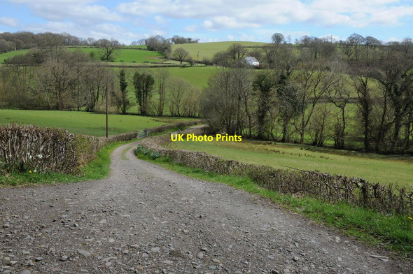 Photo 6"x4" Drive to Garddfady farm Pentre-ty-gwyn c2013