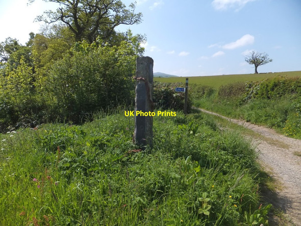 Photo 6"x4" Two cycle route signs at West Hook, Okehampton Okehampton c2013