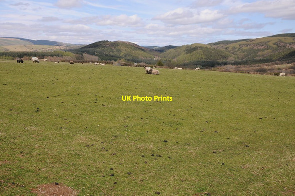Photo 6"x4" View to Crychan Forest Pentre-ty-gwyn c2013
