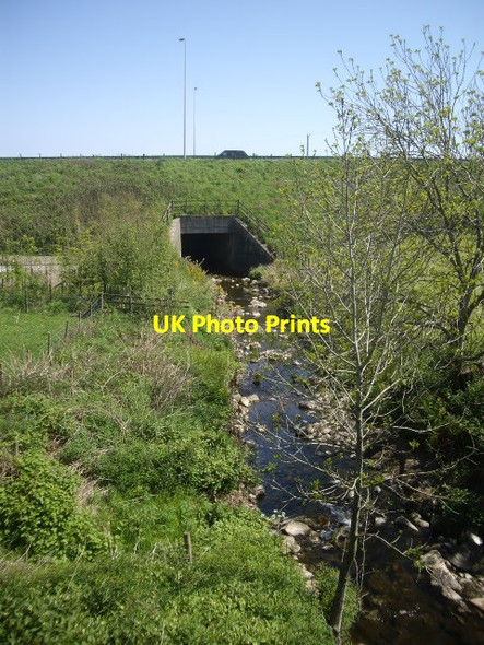 Photo 6"x4" Downstream Burn of Muchalls Bridge of Muchalls c2013